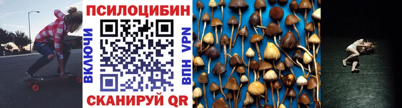 Псилоцибиновые грибы MAGIC MUSHROOMS  kraken как зайти  Севск 